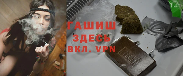 прущие грибы Алзамай