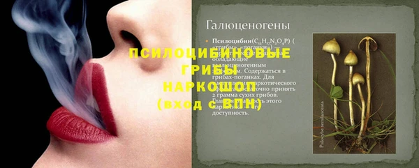 не бодяженный Алексин