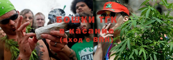 прущие грибы Алзамай