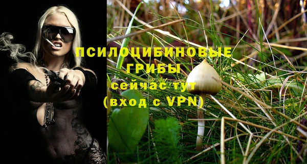 не бодяженный Алексин