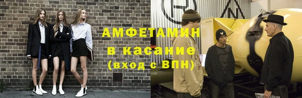 прущие грибы Алзамай