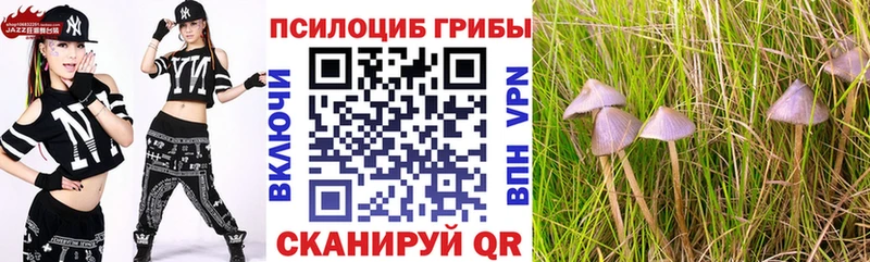 Галлюциногенные грибы Magic Shrooms  что такое   Ленинск-Кузнецкий 