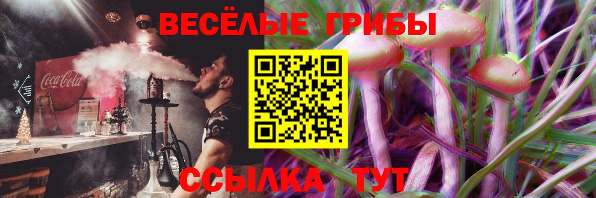 где продают   Псилоцибиновые грибы Magic Shrooms  Псилоцибиновые грибы GOLDEN TEACHER  Вход с VPN  Ленинск-Кузнецкий 