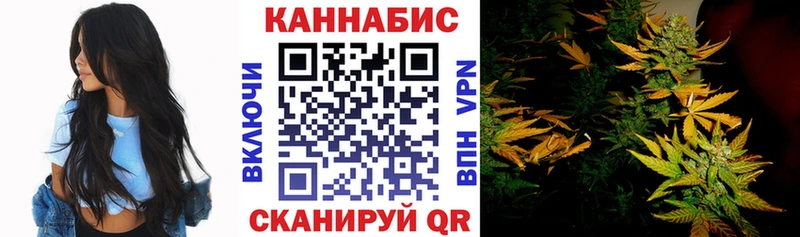 Конопля план  где найти   Ленинск-Кузнецкий 